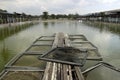 Aquaculture fishery pond Royalty Free Stock Photo