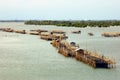 Aquaculture fishery pond in entrance river. Royalty Free Stock Photo