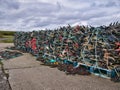 Aquaculture industry mussel ropes with single rope mussel pegs on pallets at Uyeasound, Unst, Shetland