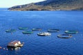 Aquaculture settlement, fish farm with floating circle cages