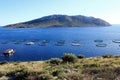 Aquaculture settlement, fish farm with floating circle cages