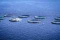 Aquaculture settlement, fish farm with floating circle cages