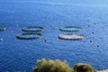 Aquaculture settlement, fish farm with floating circle cages