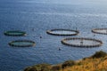 Fish farm with floating circle cages