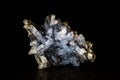 Aquamarine crystal and black tourmaline Royalty Free Stock Photo