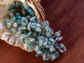 Aquamarine necklace in a large sea shell Royalty Free Stock Photo