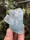 Aquamarine var beryl crsytal mineral specimen from skardu Pakistan