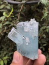 Aquamarine var beryl crsytal mineral specimen from skardu Pakistan