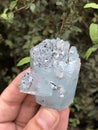 Aquamarine var beryl crsytal mineral specimen from skardu Pakistan