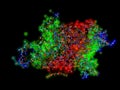 Aquaporin, integral membrane protein molecule. Also called water channels. Stick and scaled ball are represented with semi-