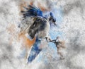 Aquarell Watercolor Bird `Blue Jay Cyanocitta cristata, disambiguation` Painting Royalty Free Stock Photo