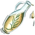 Aquarelle bottle of olive oil