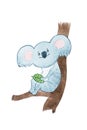 Aquarelle drawing of dreamy cartoon koala bear holding a leave sitting on a tree branch