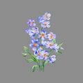 Aquarelle painted meadow flowers bouquet