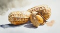 Aquarelle painting features a split peanut with its yellow kernel on a white background Royalty Free Stock Photo