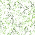 Aquarelle seamless endless hand painted drawn pattern with two colored green wild delicate plants Royalty Free Stock Photo