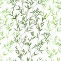 Aquarelle seamless endless hand painted drawn pattern with two colored light and dark green wild delicate plants Royalty Free Stock Photo