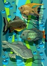 Aquarian fishes Royalty Free Stock Photo