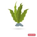 Aquarim weed color flat icon Royalty Free Stock Photo