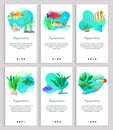 Aquaristics Fish and Seaweed, Tropical Animals