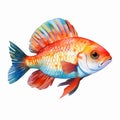 Aquarium blue fish white koi blue colour fish pink fish aquarium glo fish colors yellow comet goldfish