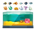 Aquarium bundle. Exotic fishes, seaweeds and corals. Cartoon glass water cube, isolated sealife or underwater vector Royalty Free Stock Photo