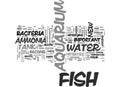 Aquarium Care Guide New Tanks Word Cloud