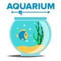 Aquarium Cartoon Vector. Fish Home Glass Tank. Fish Habitat House Underwater Tank Bowl. Isolated Flat Illustration Royalty Free Stock Photo