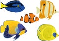 Aquarium colorful bright tropical fish collection vector illustration Royalty Free Stock Photo