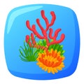 Aquarium with colorful coral and seaweed under water. Marine life habitat scene. Ocean underwater environment vector