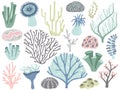 Aquarium corals and seaweed. Marine ocean coral flora, decor underwater seaweeds and different water plants cartoon vector set