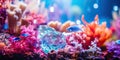 aquarium with corals and tropical fish Royalty Free Stock Photo