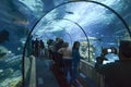 Aquarium de Barcelona, Spain Royalty Free Stock Photo