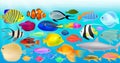 Aquarium, different fish, vector illustration