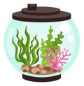 Aquarium element. Fishbowl with seaweeds and stones. Empty fish tank. Glass sphere container. Undersea plants. Sea algae