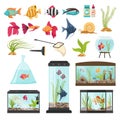 Aquarium Essential Elements Collection Royalty Free Stock Photo