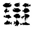 Aquarium exotic fish collection, under water world. Oscar fish silhouette isolated on white background. Coral reef Pisces
