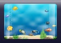 Aquarium with exotic fish Royalty Free Stock Photo