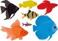 Aquarium colorful tropical fish collection barbus, scalare, neon, diskus, cichlid, betta, goldfish vector illustration Royalty Free Stock Photo