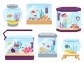 Aquarium fish. Colourful fish in tank, algae and tropical goldfish in seawater. Beautiful pet, ocean underwater world in Royalty Free Stock Photo