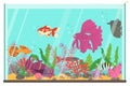 Aquarium with fish. Home fishes breeding, little color decorative creatures, big rectangular glass water tank, algae and