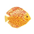 Aquarium fish with red spots clipart. Vector illustration in cartoon style is isolated on white. Royalty Free Stock Photo