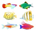 Aquarium fish silhouette isolated on white icons Royalty Free Stock Photo