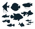 Aquarium fish silhouettes Royalty Free Stock Photo