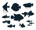 Aquarium fish silhouettes