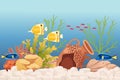 Aquarium with fishes grass stones and decorative items vector illustration isolated on white background