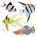 Aquarium fishes: great collection of highly detailed illustrations with tropical tank fishes. Royalty Free Stock Photo