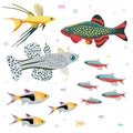 Aquarium fishes: great collection of highly detailed illustrations with tropical tank fishes. Royalty Free Stock Photo