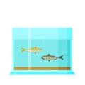 Aquarium flat vector