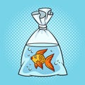 aquarium goldfish in plastic bag pop art raster Royalty Free Stock Photo